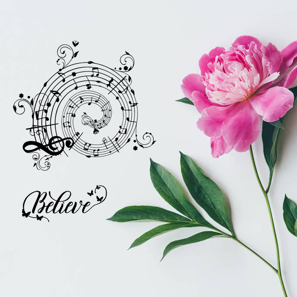 AZSG Musikpartitur | Klare Ste – Butterfly Rubber Sheet Bewertung und Preis