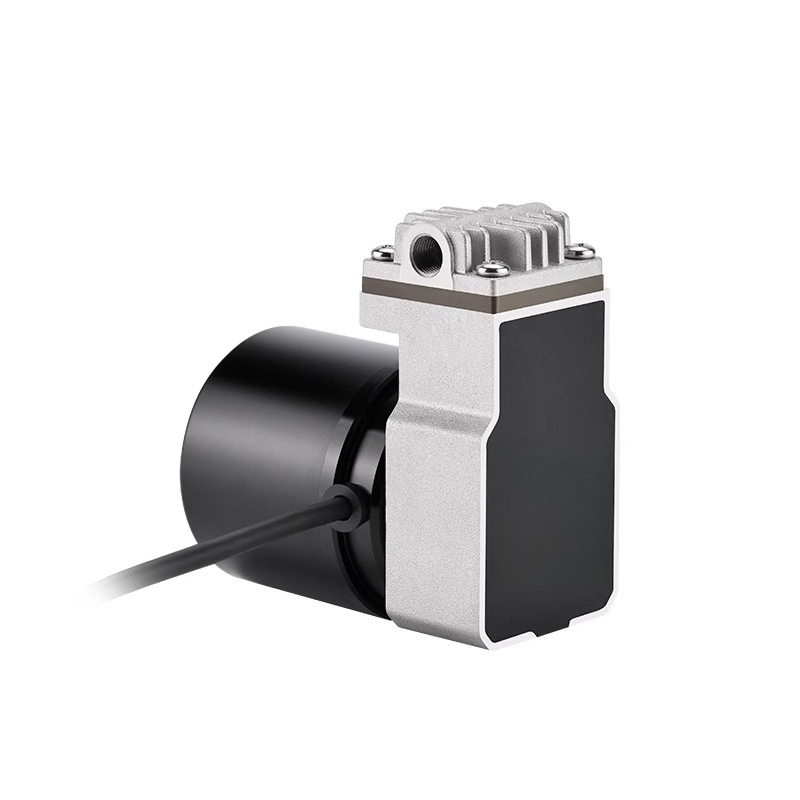Schwingkolbenpumpe, 24 V, Druc – Rubber Booster Speed Bewertung und Preis