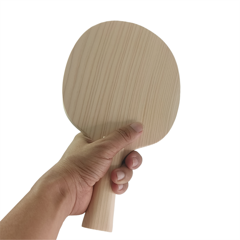 Einfaches Hinoki-Massivholz-Ti – Table Tennis Games Bewertung und Preis